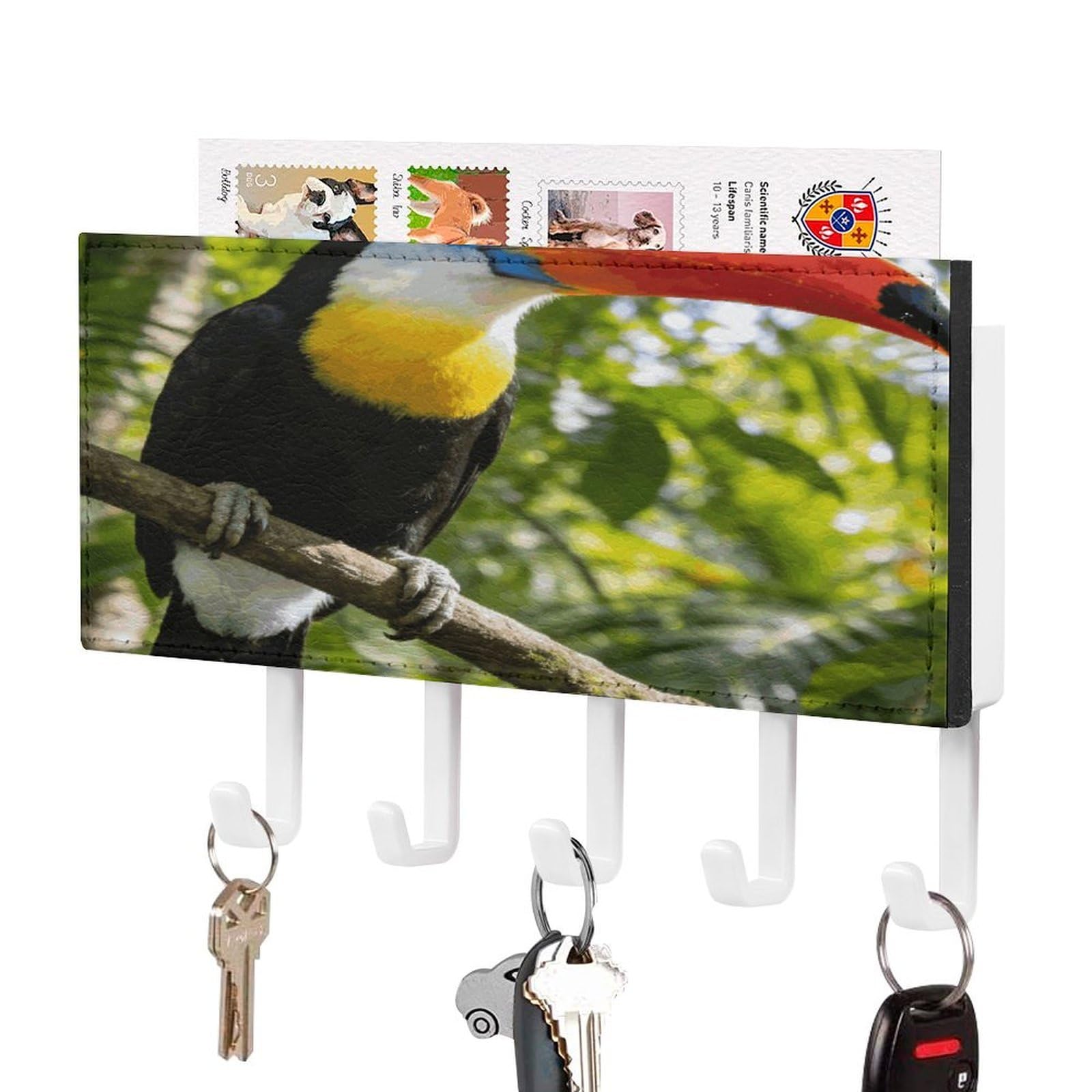 MUSM Toucan Key Holder for Wall,Mail Organizer Wall Mount with 5 Hooks,Easy Installation Key Rack for Home Decor, Hallway, Entryway, Appartment