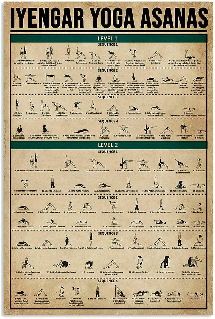 rayprint Fun Education Infographic Metal Poster Iyengar Yoga Asanas Metal Sign Retro Tin Sign for School Club Bar Aluminum Plaque 12x16inches