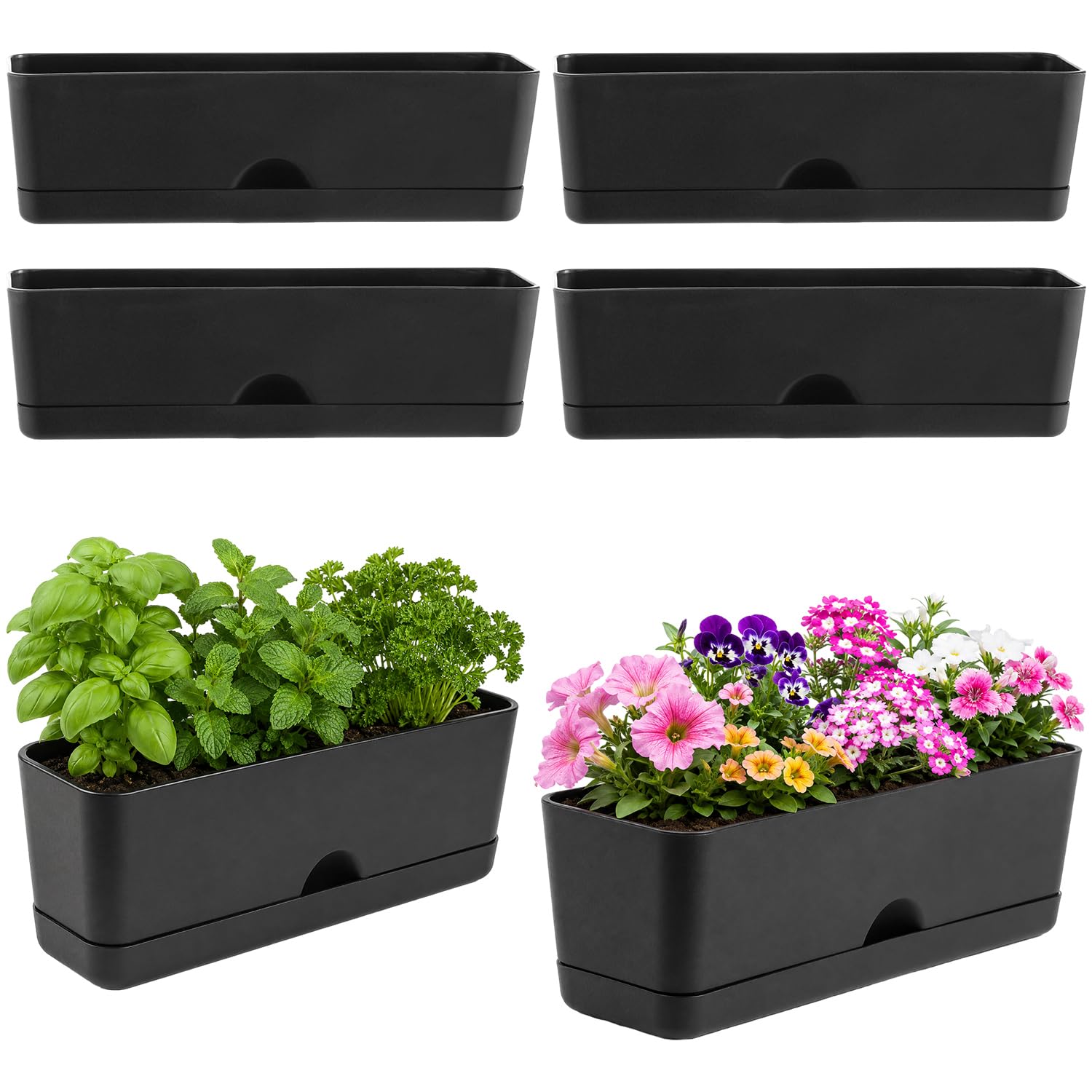 KvyusFlourish 6 Pack Rectangle Planter