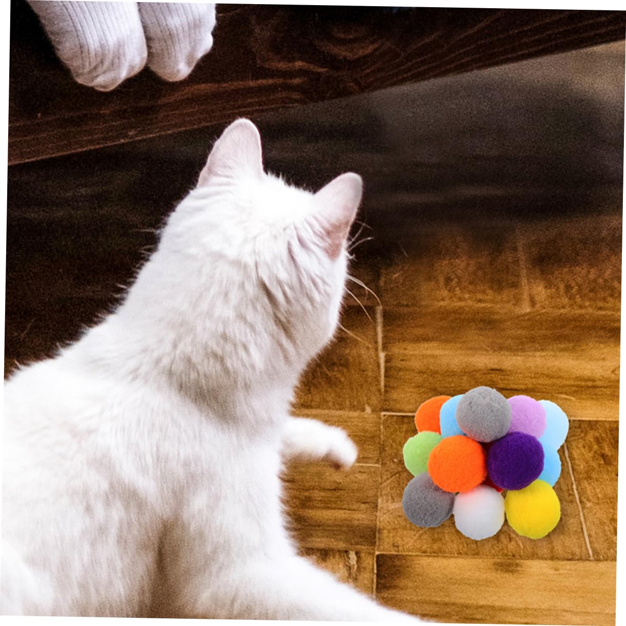 YARNOW 500 Pièces Balle Jouet pour Chat Chats d'intérieur Jouant aux balles Chasse Jouet s pour s à gratter pour d'intérieur Boules à mâcher pour Peluche