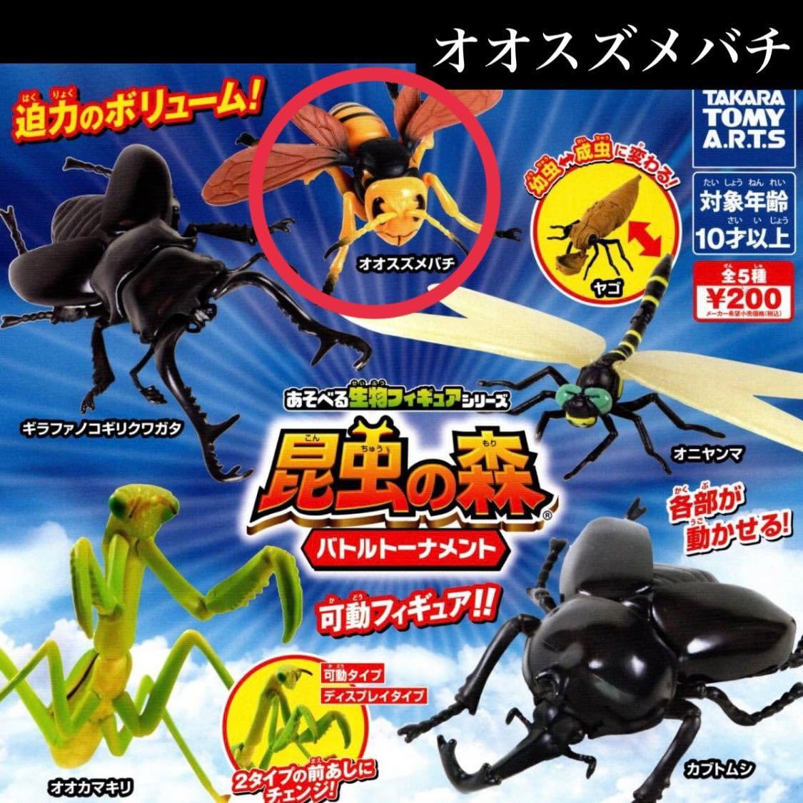 Amazon.co.jp: 昆虫の森 バトルトーナメント レア オオスズメバチ 1種