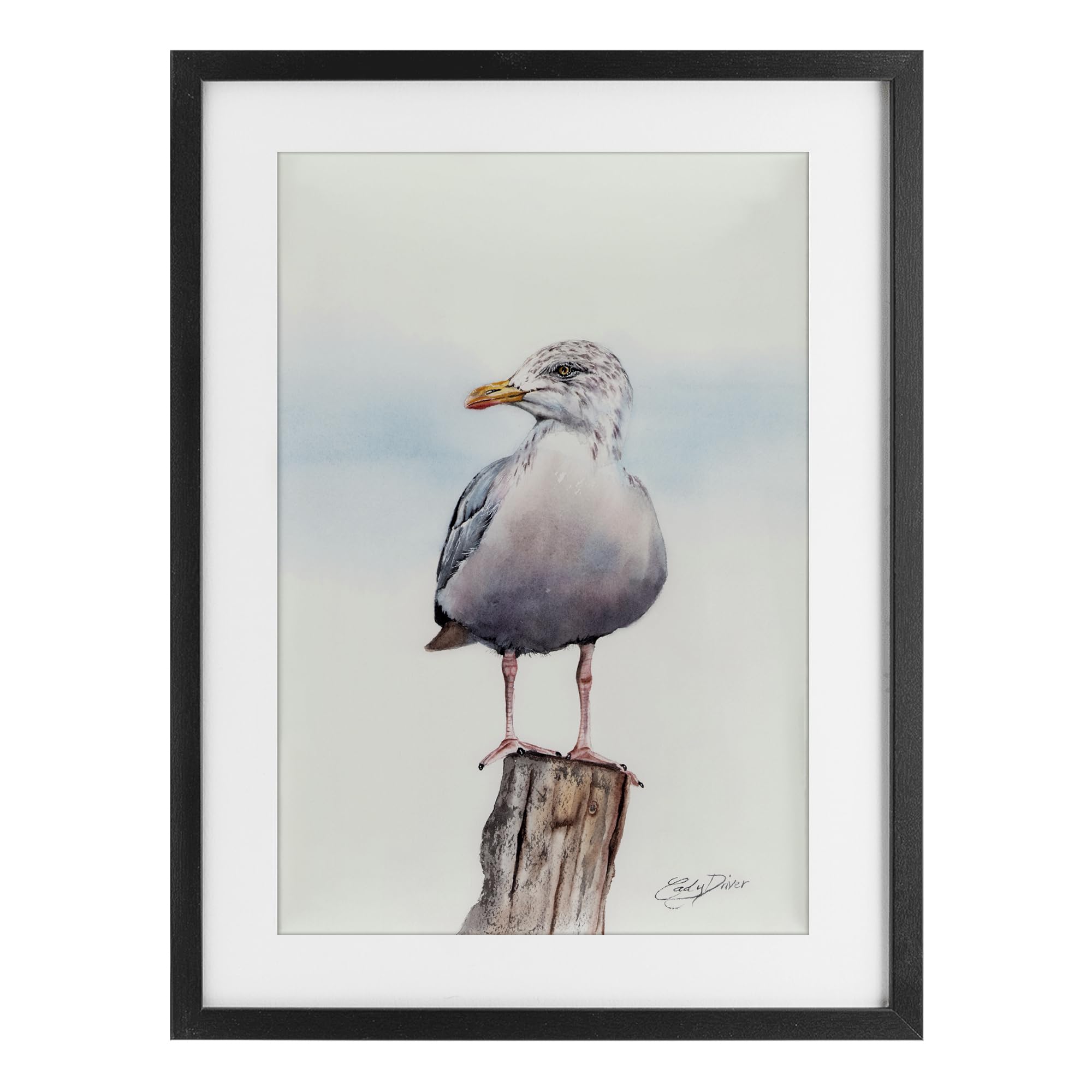 Stupell Industries Seaside Seagull Perch White Framed Print Under Glass, design by Cady Driver, 20 x 14