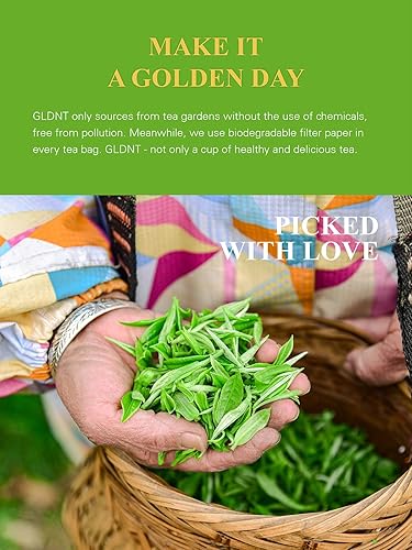 Miniatura 3 de GLDNT Bolsas de té verde matcha orgánico, matcha japonés orgánico premium + té verde Sencha, rico en antioxidantes, cafeinado, 100 unidades