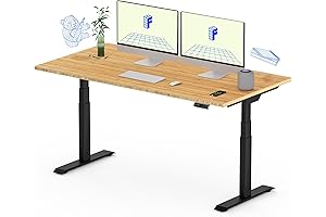 Flexispot EC5 Standing Desk: Enhanced Ergonomics for Workspace Optimization