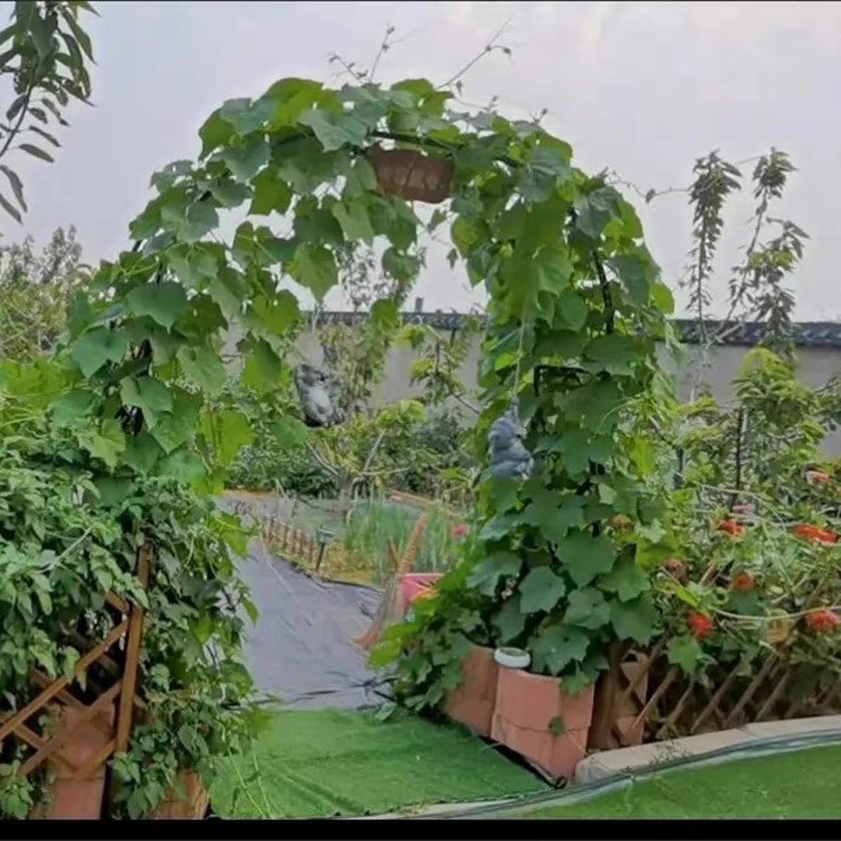 Arche de rose robuste en métal galvanisé – Arche de jardin durable pour plantes grimpantes, support de treillis, décoration extérieure et aménagement paysager – Parfait pour améliorer le jardin