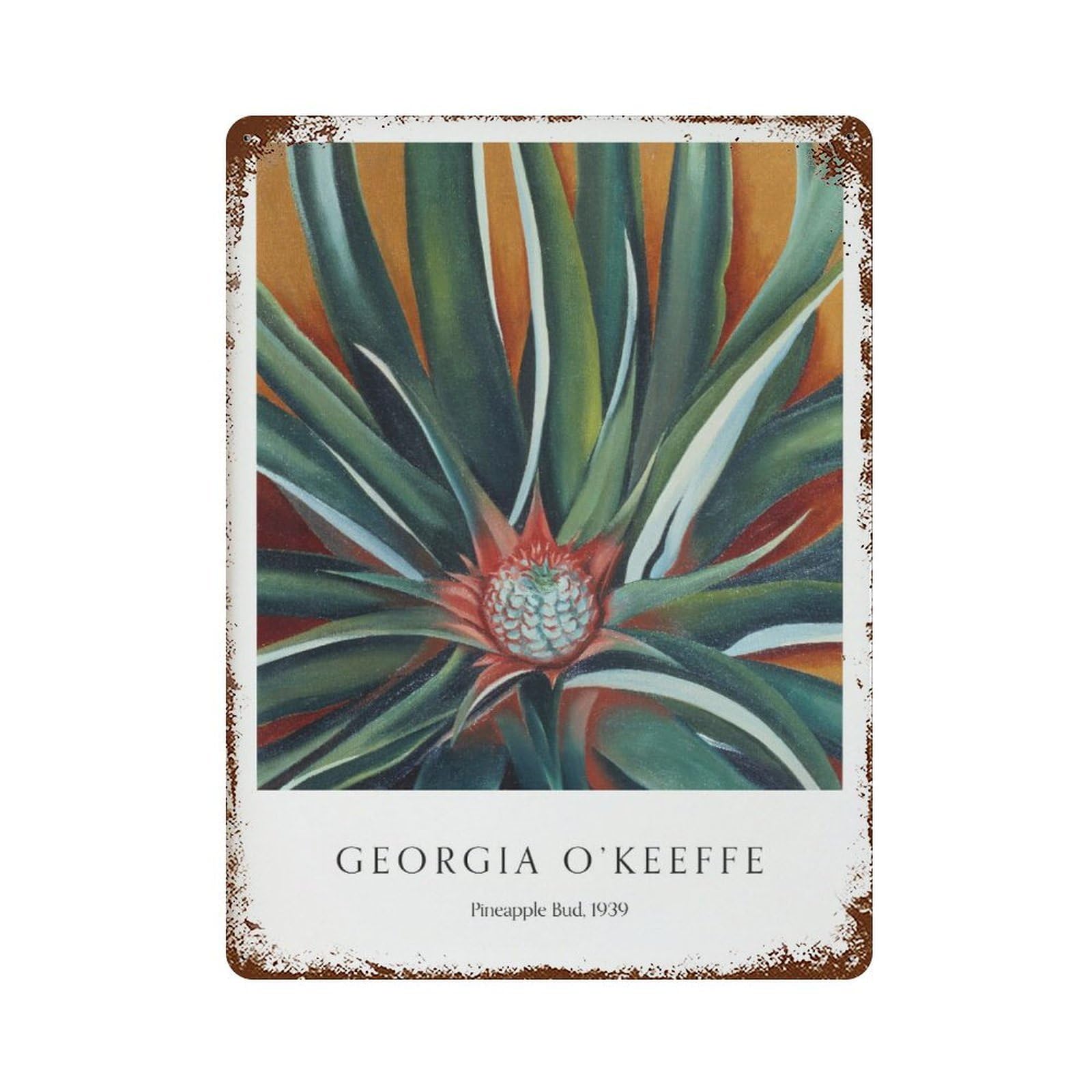 xiaoxiaoshen Georgia O'keeffe Pineapple Bud Modern Wall Decor Art Metal Tin Poster Modern Home Decor Art Home Bar Shop Decorations Vintage Sign 40x30cm