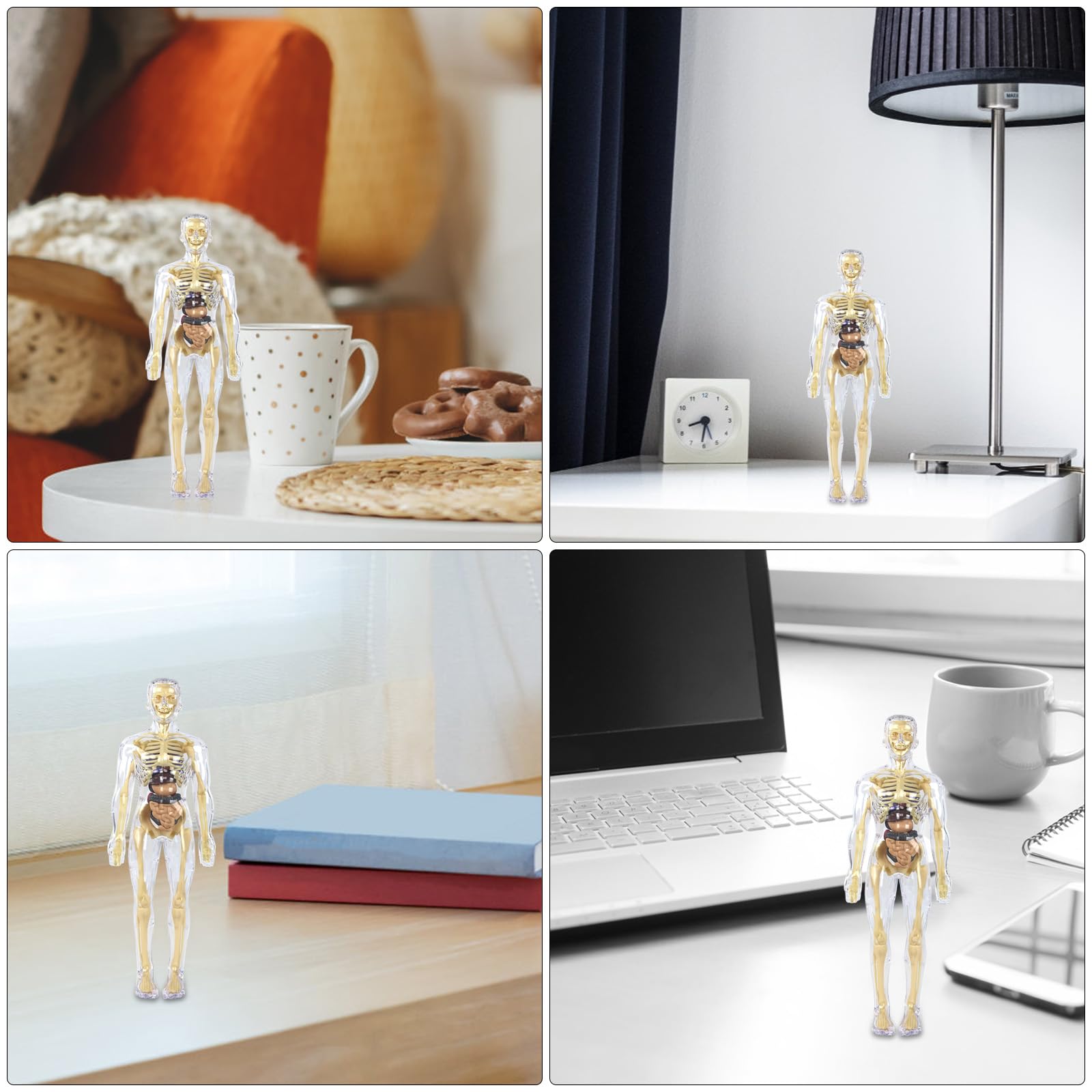 Anatomiczny model tułowia 3D, szkielet ludzkiego ciała, model edukacyjny dla dzieci, przedszkolna