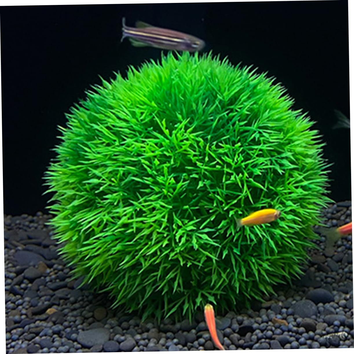 Cabilock 6 Piezas Decoración de Plantas Verdes simuladas. Planta Artificial Planta Falsa Decoraciones de Plantas de Acuario Decoraciones caseras del Acuario pecera artesanía