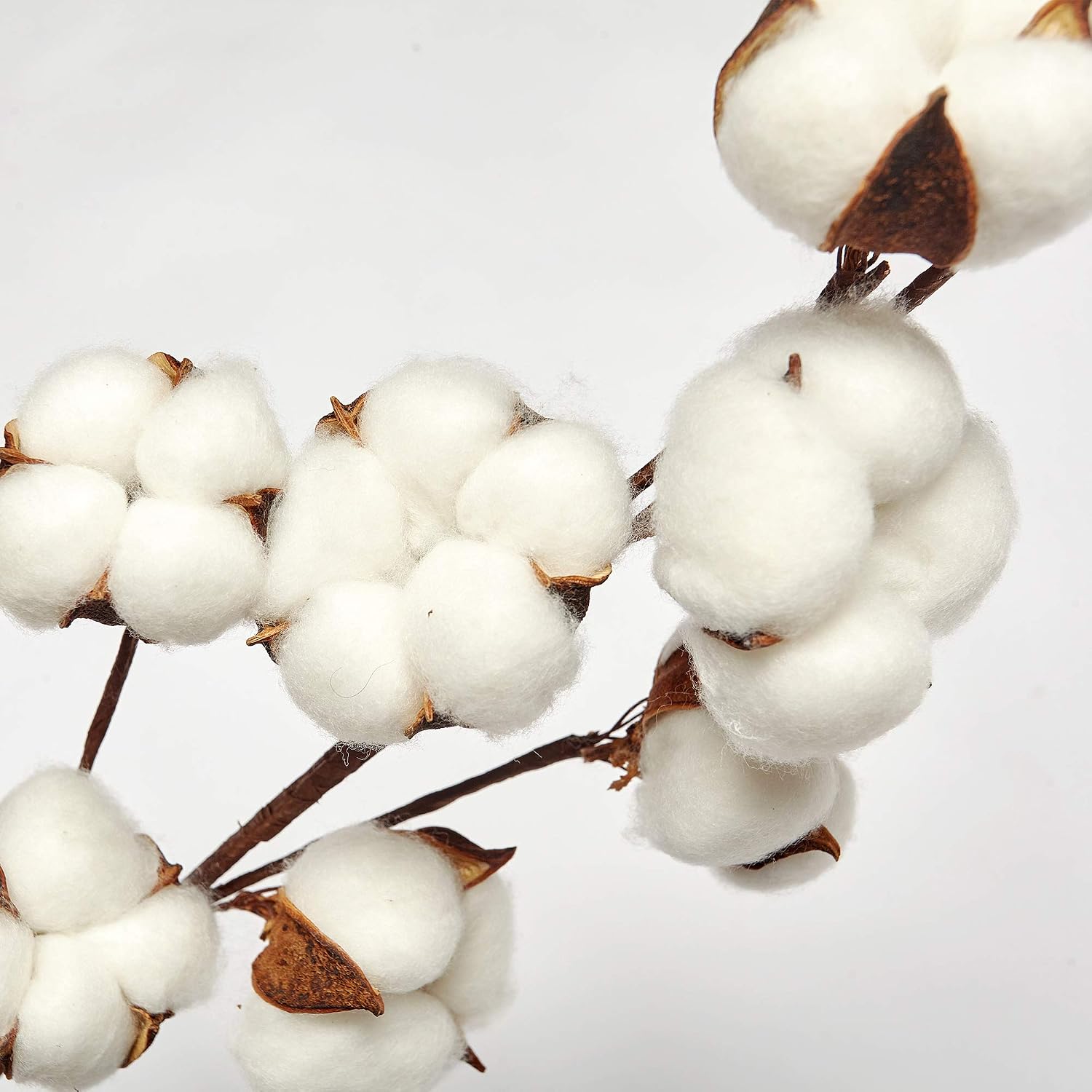 VGIA 5 Pack 10 Balls Per Stem 21 Inch Cotton Stems Farmhouse Style Display Filler - Floral Decoration 5 Pack 10 Balls Per Stem
