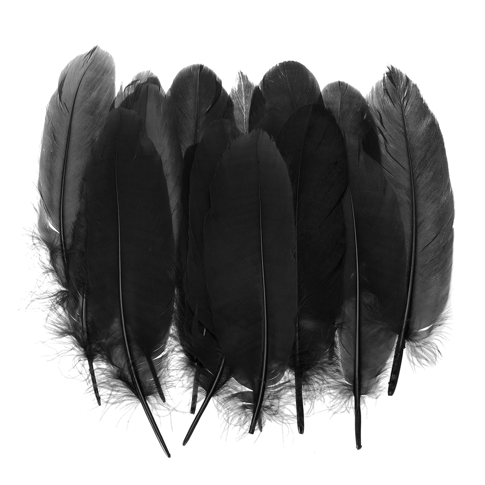 PATIKIL 4-7" Natural Goose Feathers Bulk for Crafts, 200 Pack Long Assorted Colors Feathers Decor for DIY Dream Catchers, Hats, Garland, Vase Supplies Adults Crafting, Black