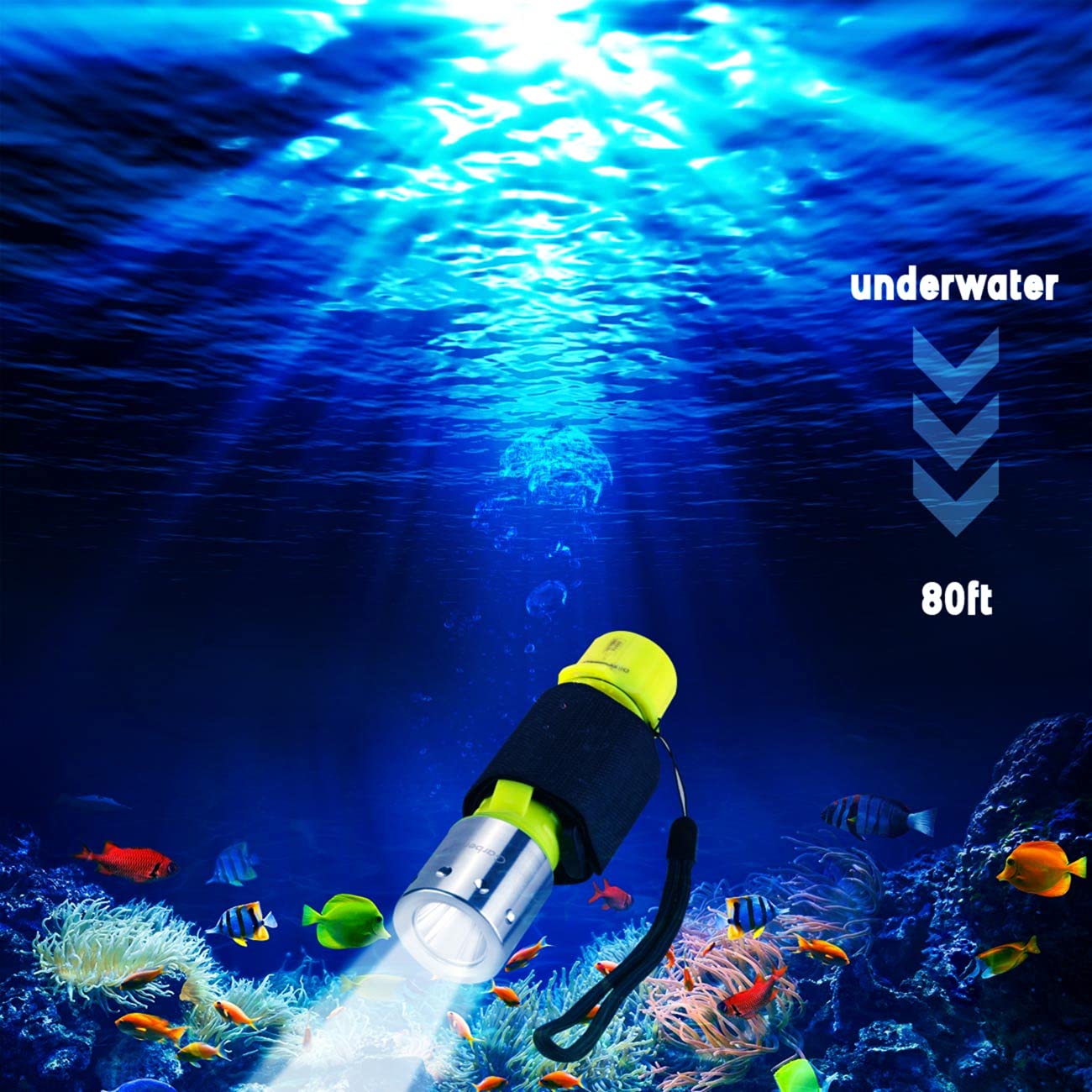 Keep Better Waterproof Diving Torch 1000 Lumens Led Scuba Light | Seychelles