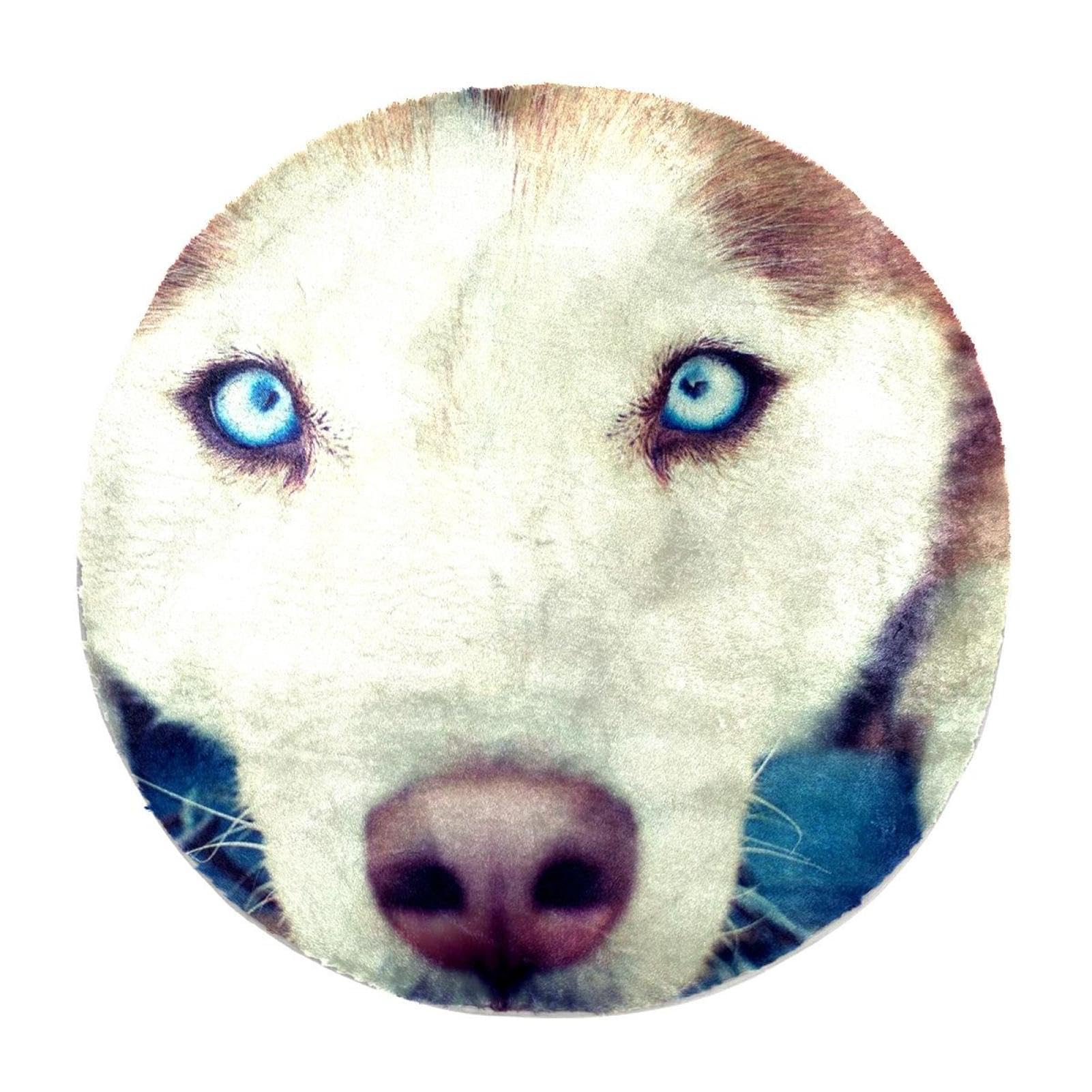 Tapis rond Husky de Sibérie pour réchauffer un sol froid de salon avec douceur
