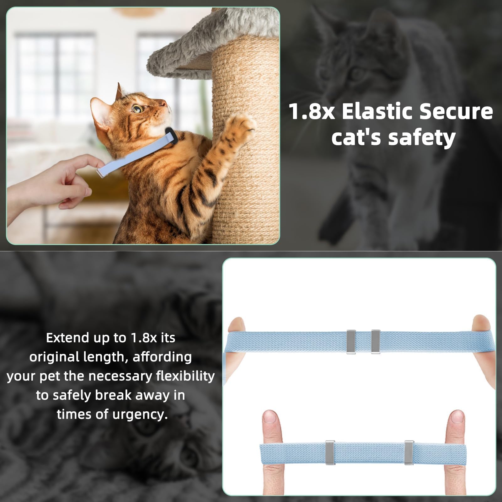 Airtag Cat Collar, Stretchy Kitten Collar with Apple Air Tag Holder, Lightweight and Comfortable - Image 4