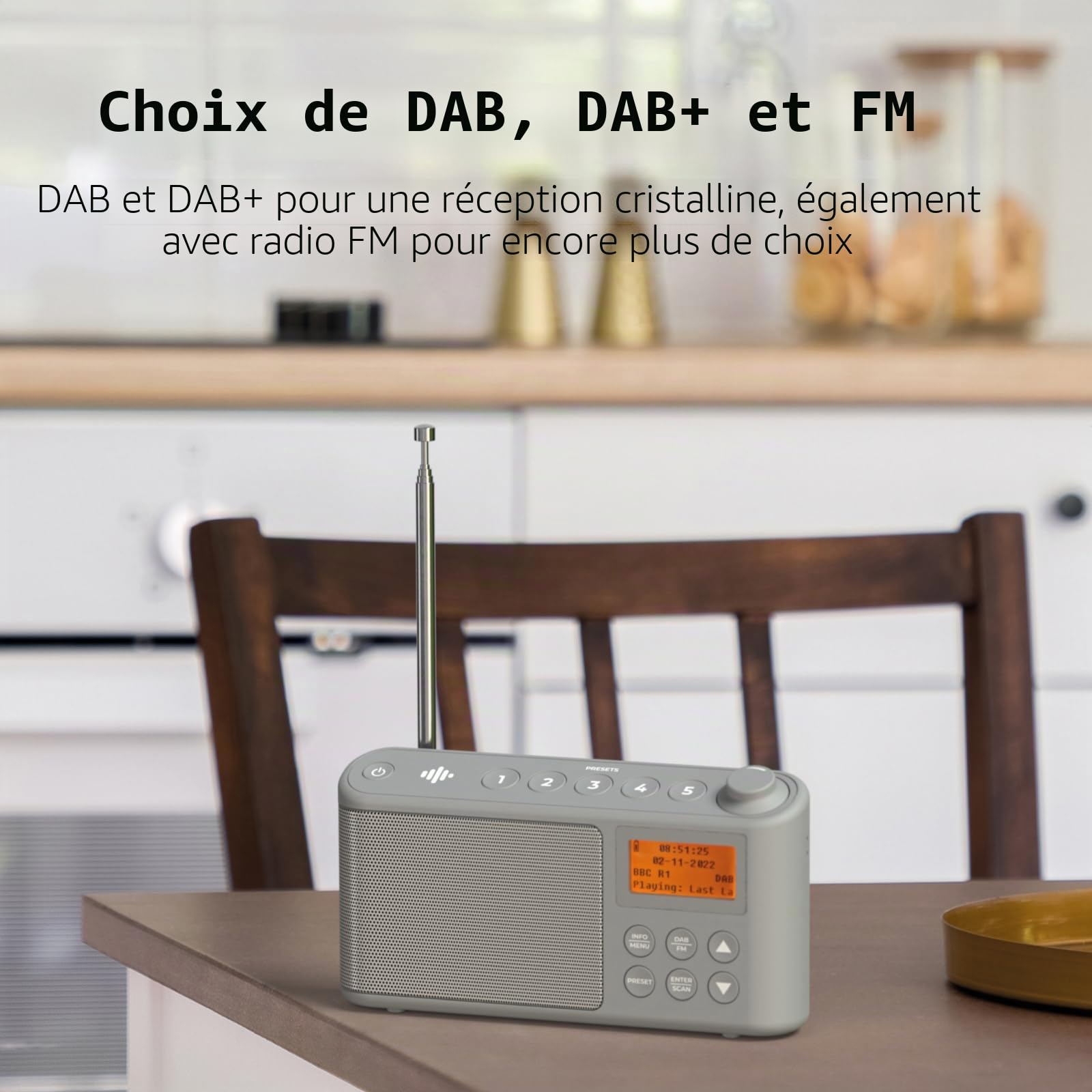 Radio DAB/DAB+ FM Portable Numérique avec Batterie et Chargement USB 15 Heures Gris
