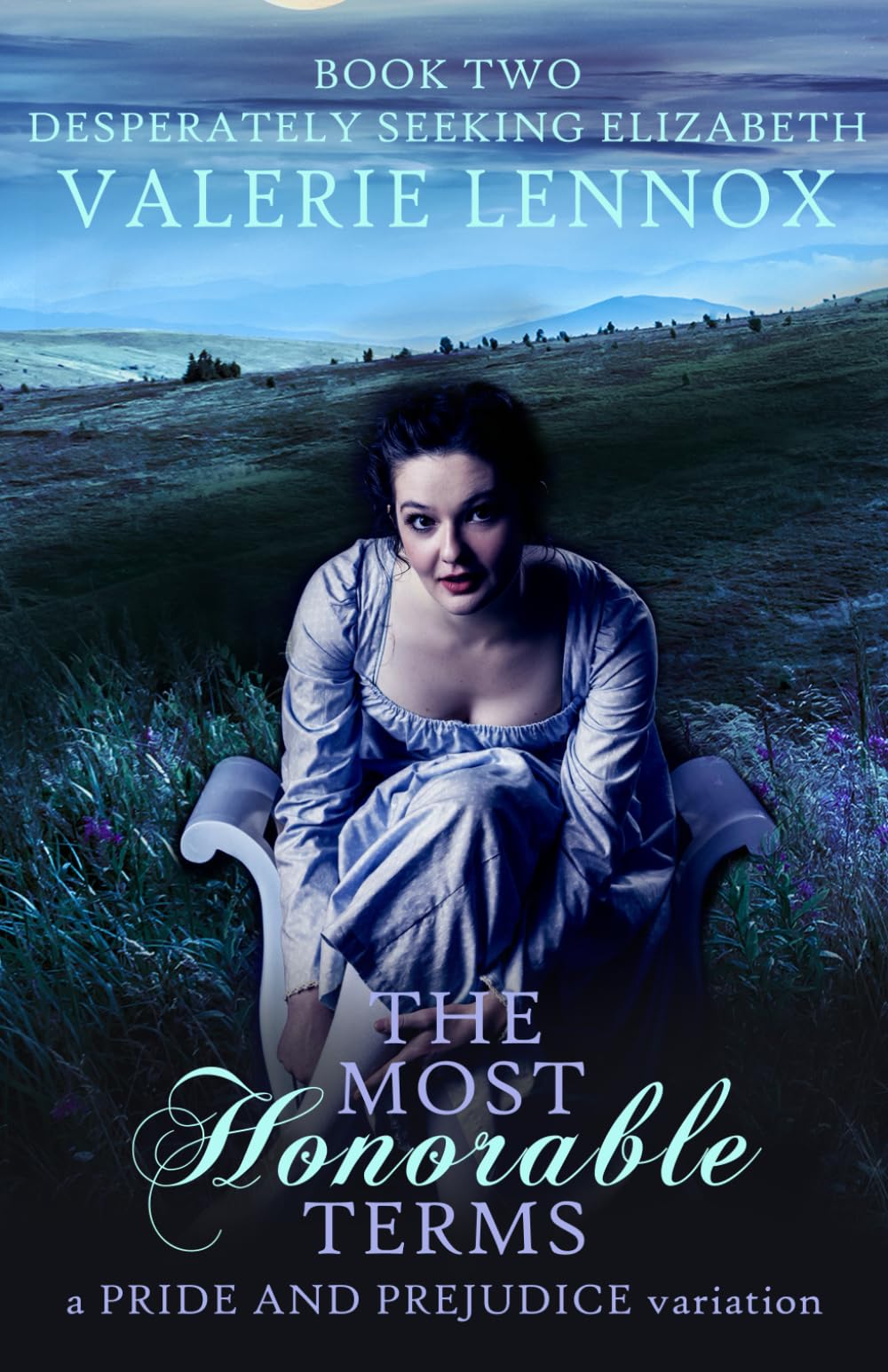 The Most Honorable Terms: a Pride and Prejudice variation (Desperately Seeking Elizabeth)