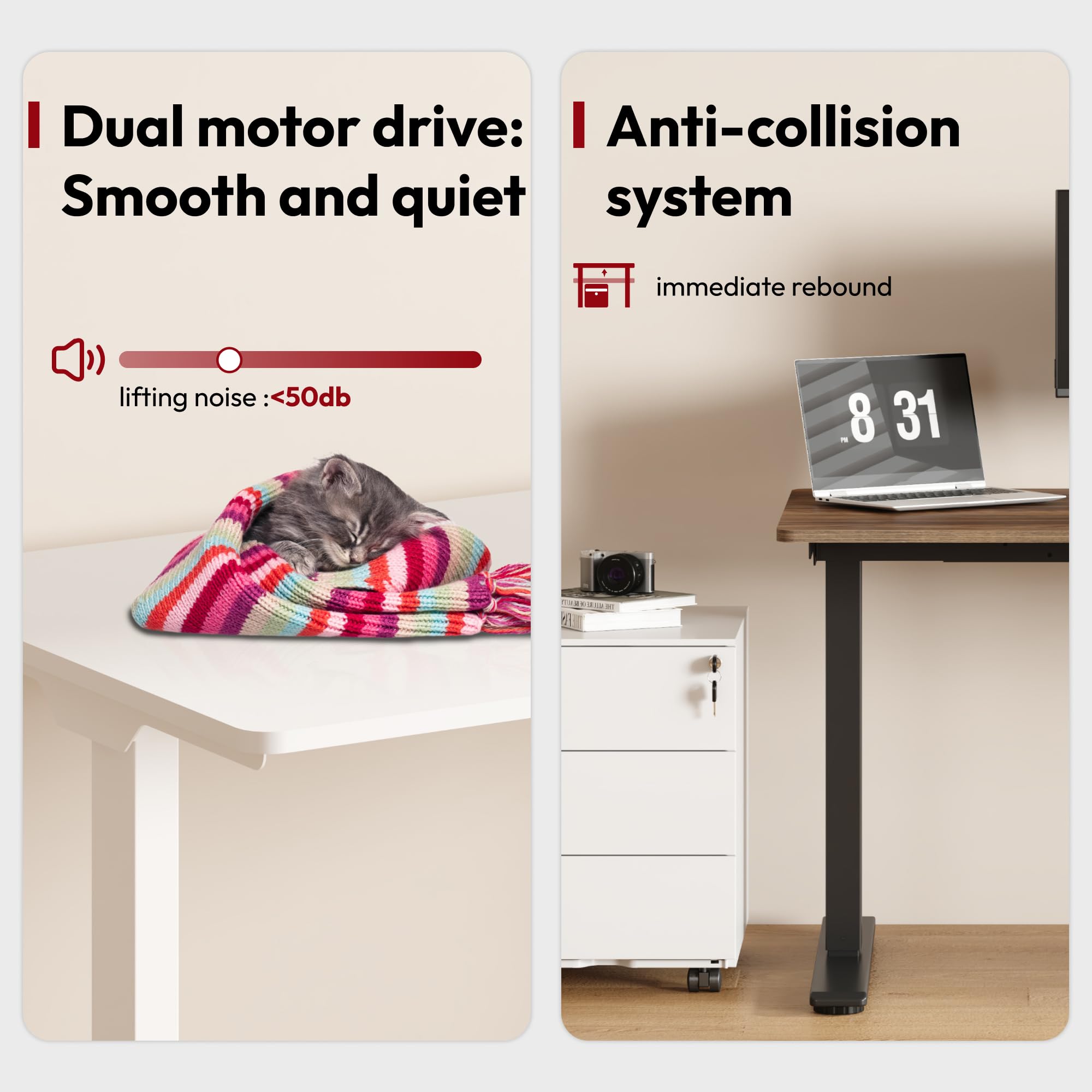 SANODESK Höhenverstellbarer Schreibtisch 200×80 cm – Elektrischer Sitz-Steh-Tisch mit Dualmotor, Großer Arbeitstisch für Büro & Home Office(weiß+weiß)