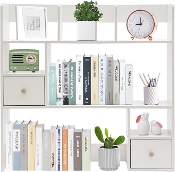 Desktop Bookshelf, Home Office Desk Organizer, Desktop Storage Organizer, Space Saving Tabletop Storage Rack, Ideal for Storing Books, Stationery & Files White, 2 Drawers