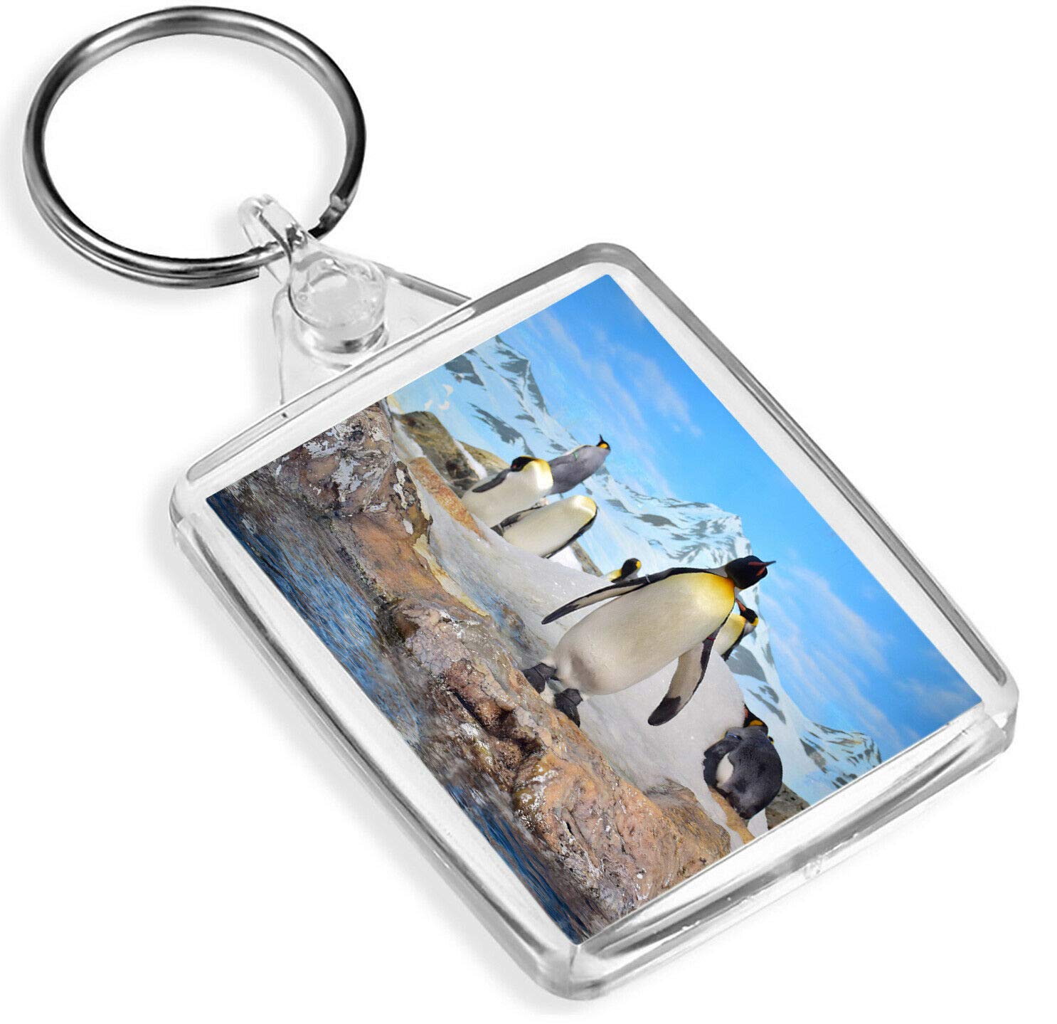 Destination Vinyl Keyrings Unisex Multi Majestic Emperor Penguin Keyring - Ip02 - Antarctica Snow Birds 14329