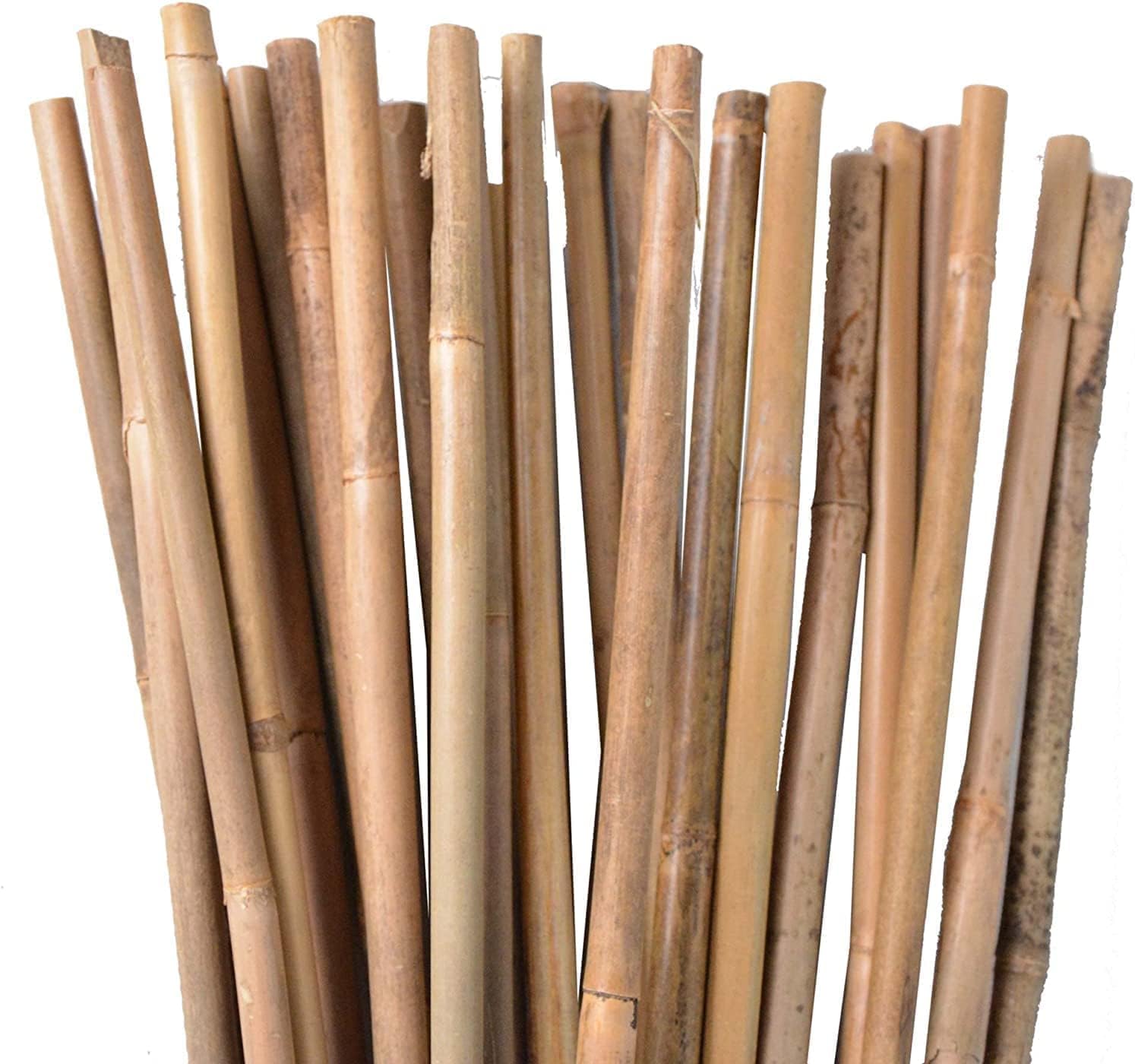 Suinga Pack 500 Tutores de Bambú 200 cm (8-10 mm) - Varillas Resistentes para Plantas, Árboles y Hortalizas | Soporte para Plantas, Tomates | Tutores para Plantas trepadoras