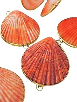 71GQkK8zvnL._AC_UF350, 71GQkK8zvnL._AC_UF350,