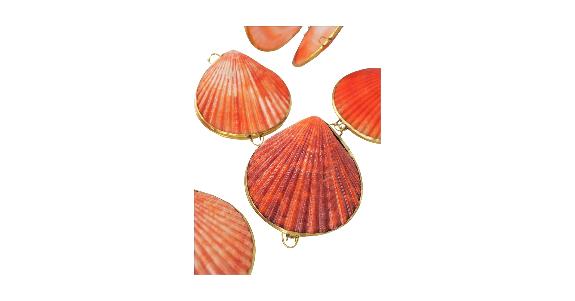 Amazon.co.jp: 【貝殻の問屋さん】貝殻の小物入れ ヒオウギガイ赤系 Amazon.co.jp: 【貝殻の問屋さん】貝殻の小物入れ ヒオウギガイ赤系