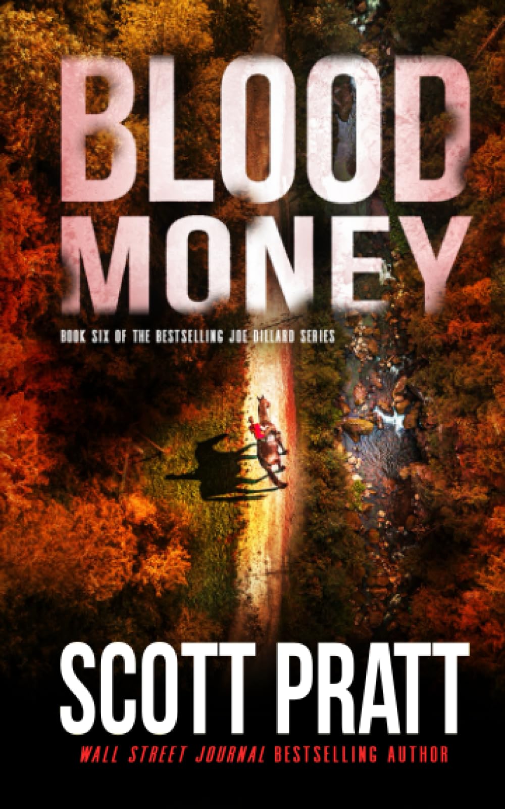 Blood Money: 6 (Joe Dillard Series)