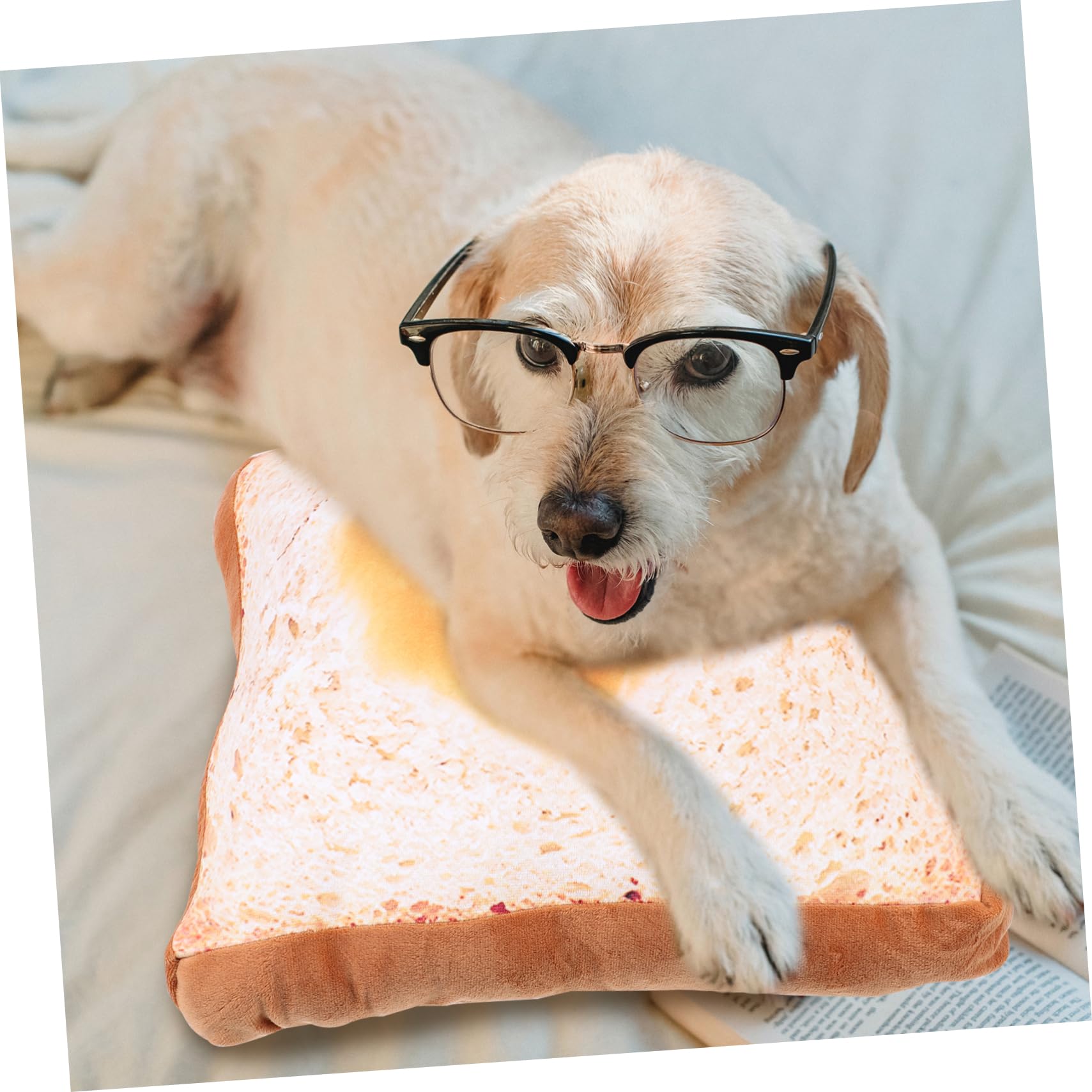 Amazon｜Veemoon トースト パン クッション 自動車ペット 消耗品 食品