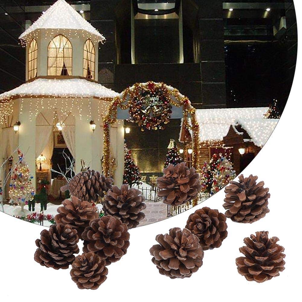 400 Natürliche Mini-Tannenzapfen (1,5–2 Cm) – Für Basteln, Herbst- & Weihnachtsdekoration