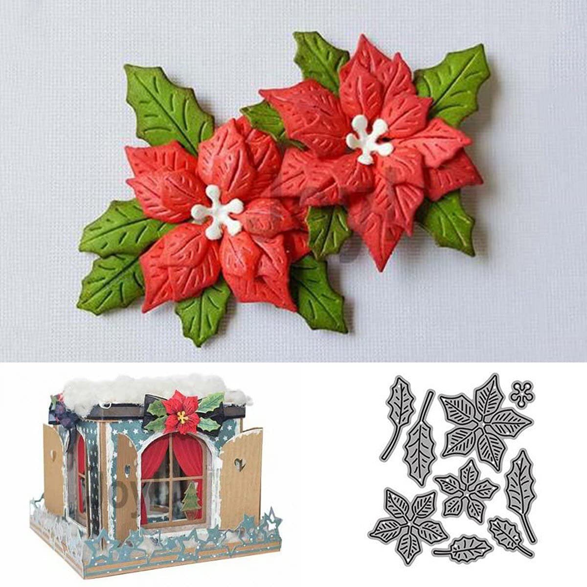 begonie zimmerpflanze kaufen Begonie Mix