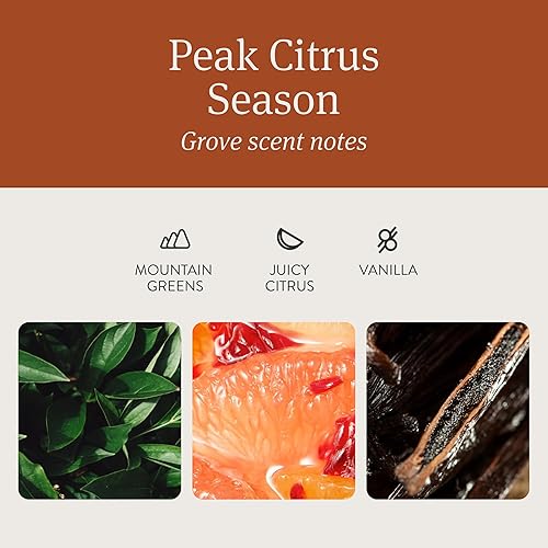 Miniatura 3 de Drift - Ambientador de madera, eliminador de olores para el automóvil, paquete de inicio, aroma arboleda, negro