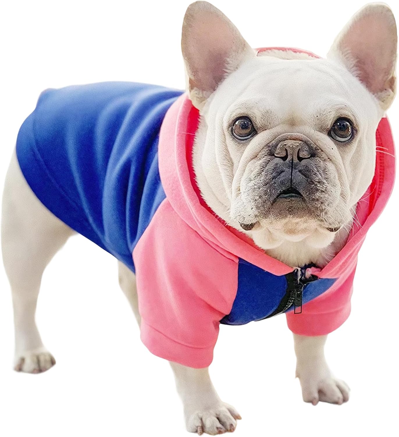 Doggie Sweaters for Small Dogs Girl, Zipper Closure Frenchie Hoodie French Bulldog Clothes, Color-Blocked Puppy Sweaters for Small Dogs Boy, Female Dog Sweater with Harness Hole,S Small Color-Blocked-Pink