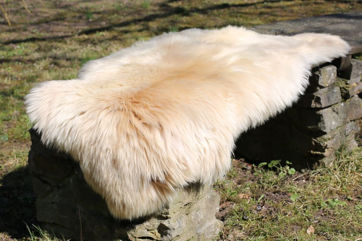 Lammfell Coburger Fuchsschaf - 2. Wahl Naturfell Dekoration Sitzauflage Läufer Größe 100-110