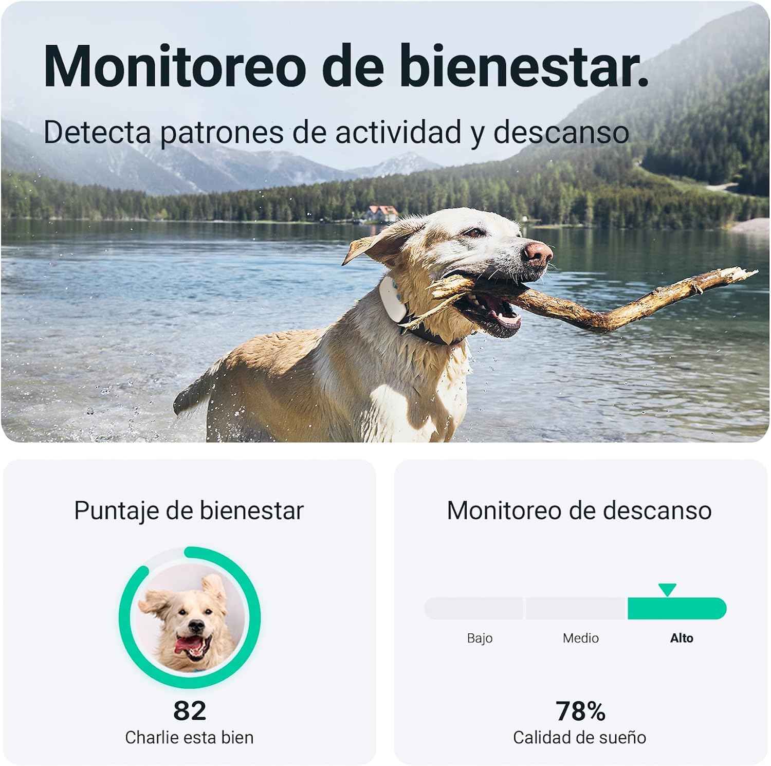 Tractive GPS Tracker for Dogs - Waterproof, GPS Location & Smart Pet Activity Tracker, Unlimited Range, Works with Any Collar (White)