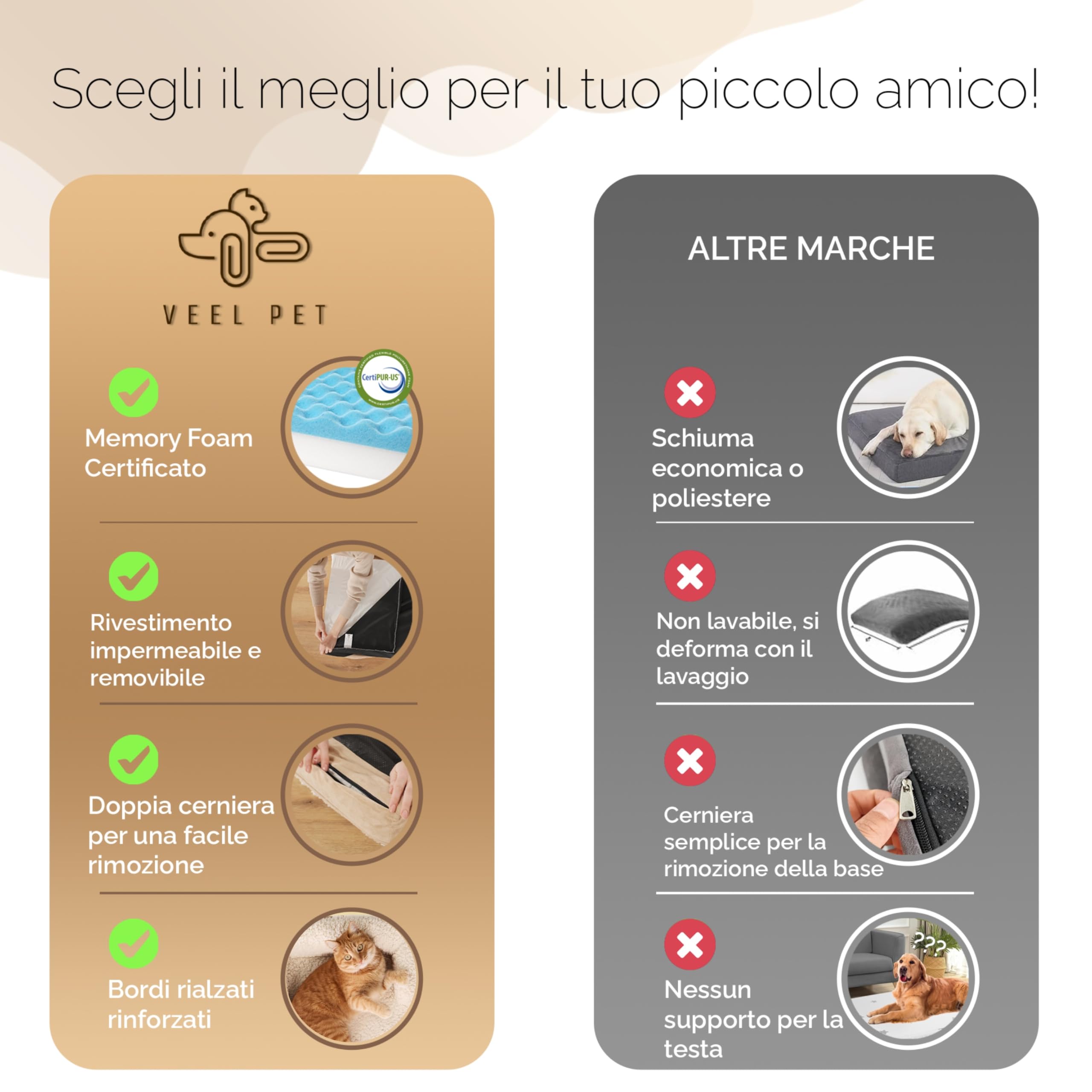 Cuccia Ortopedica per Gatti con Bordi Rialzati – Letto Morbido e Lavabile per Gatto, Materasso memory foam con Fondo Antiscivolo, Fodera Sfoderabile, Cuccia Comfort Premium (SMALL)