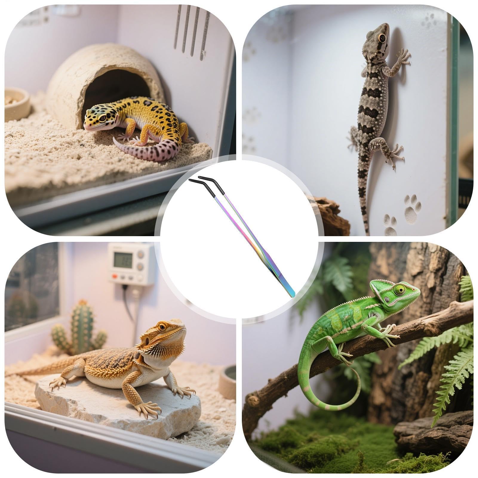 Pinces de Nourrissage - Pinces Droites et Courbes - Tête en Silicone Antidérapante pour Reptiles Aquatiques Aquarium Domestique