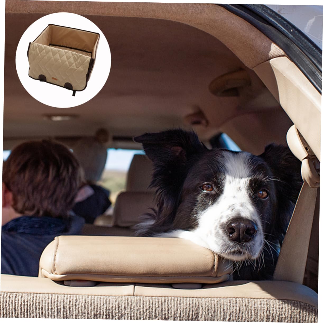 FRCOLOR Cojín para Asiento de Coche para Perros y Gatos Beige