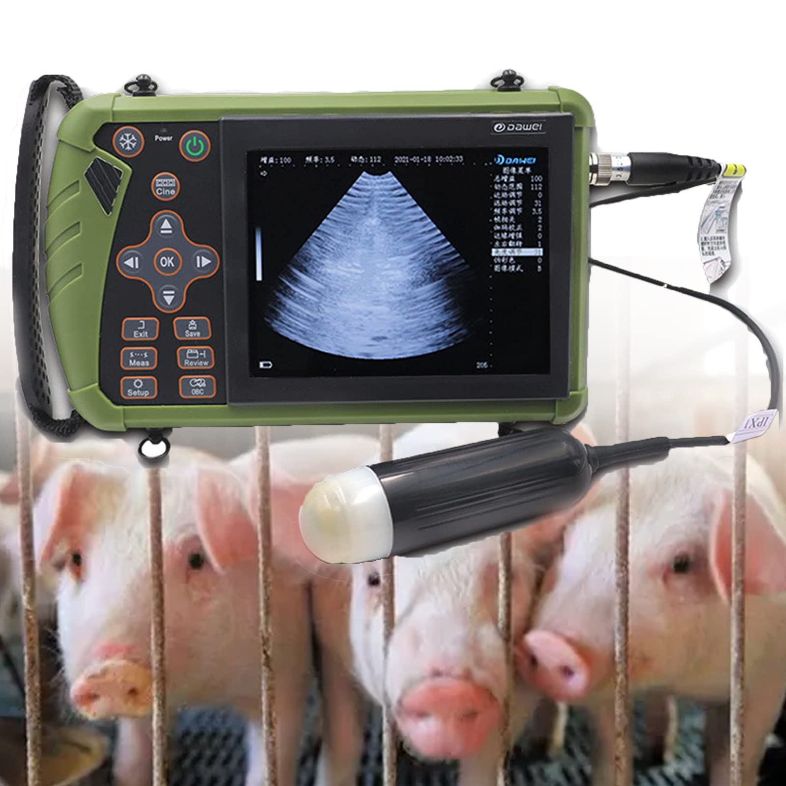 Scanner Portatile per veterinaria Macchina Digitale, Scanner a ultrasuoni B Portatile per Animali per scrofe e capre
