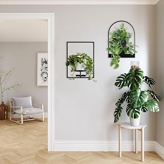 Sisher Monstera Moss Pole Set Plastic Moss Pole for Climbing Plants Work with Sphagnum Moss 16 Inch D Shaped Poles Sturdy Plant Support Stakes Plant for Indoo Plants, White