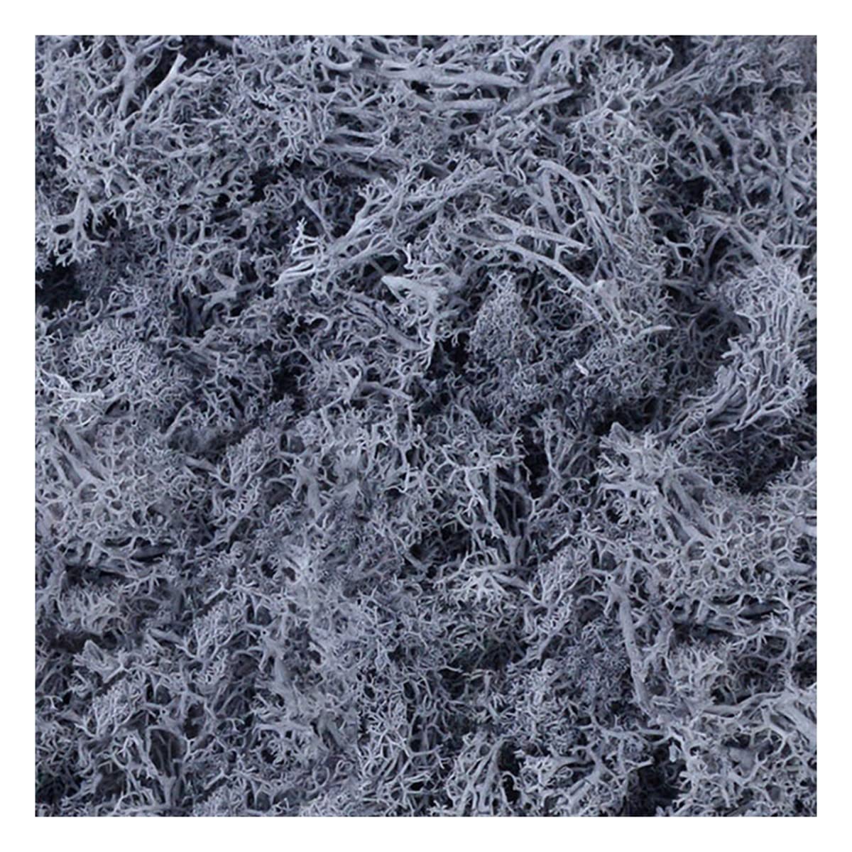 ECYC Ltd 1.4oz Fake Moss Artificial Moss Floral Decorative Preserved Reindeer Moss Craft Moss for Potted Plants, Terrariums Gardening, Wall Art, Floral Project, Wedding, Centerpieces Decor