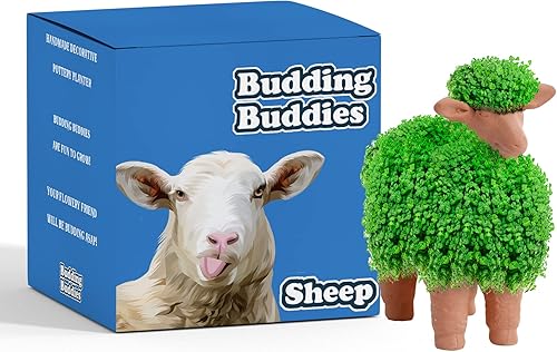 Budding Buddies - Maceta decorativa para mascotas, regalo novedoso de terracota, cabeza de mascota, divertida y fácil de cultivar, perfecta para