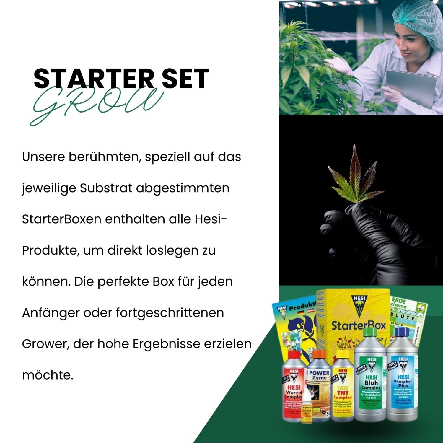 cannabis bester dünger Professional Line Cannabis Blüte All in One Dünger 1000g – Green2016 main image 1