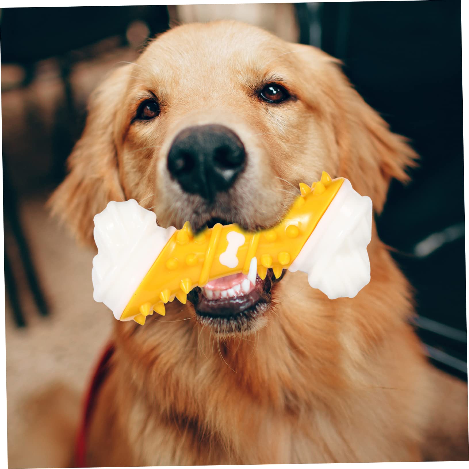 Mipcase 3piezas Juguete Interactivo para Perros De Juguete Molar De Forma De Hueso para Cachorros y Perros Resistente y Duradero Ayuda El Entrenamiento Control del Comportamiento