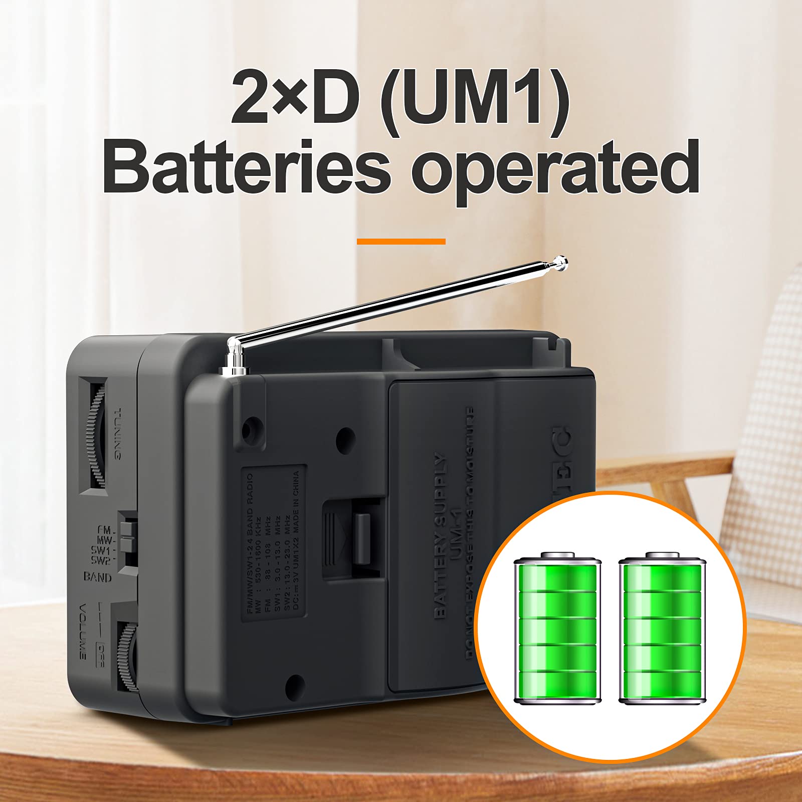 LEOTEC AM FM Radio, Portable AM FM Radio with Best Reception,2D