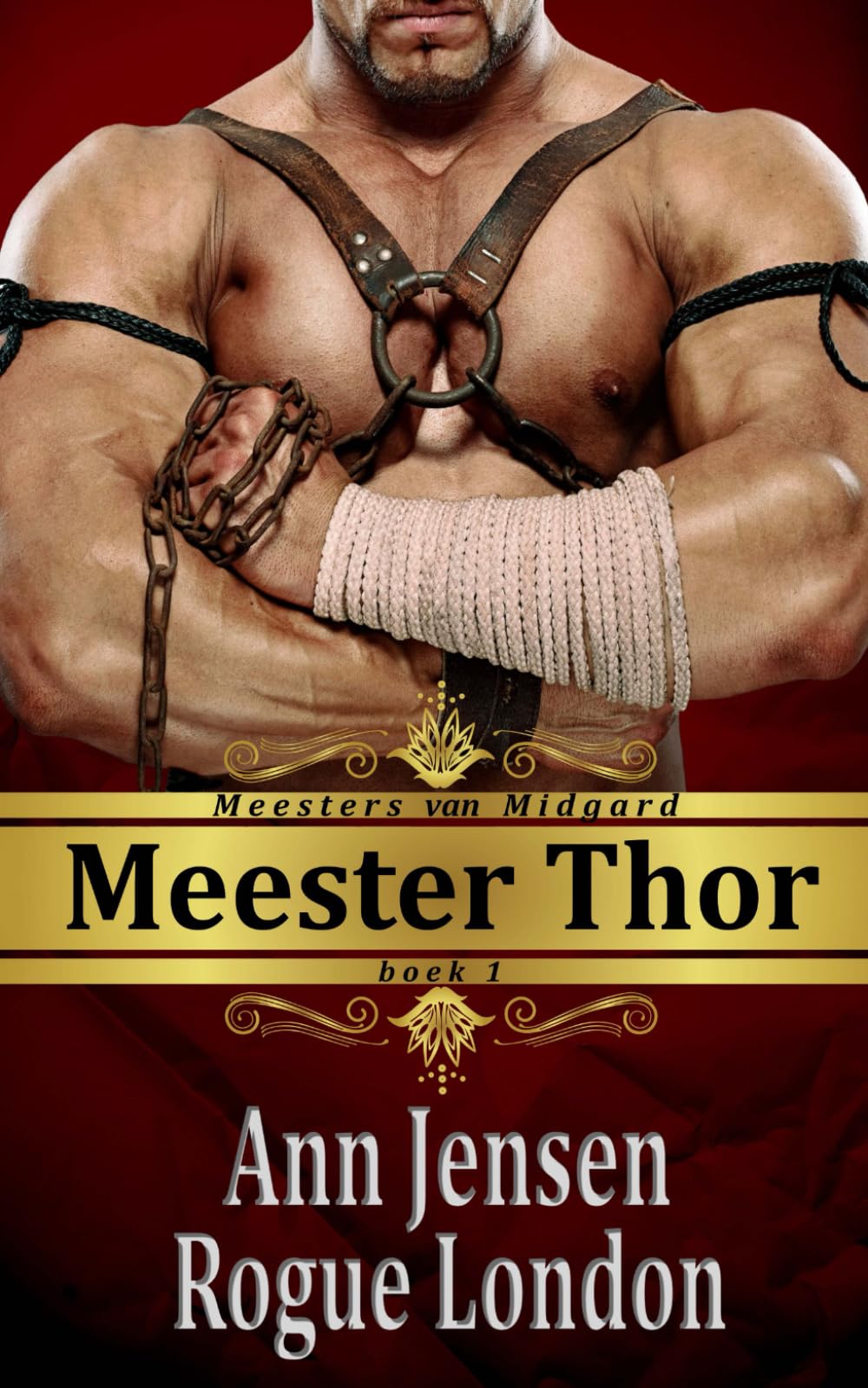 Meester Thor (Meesters van Midgard)