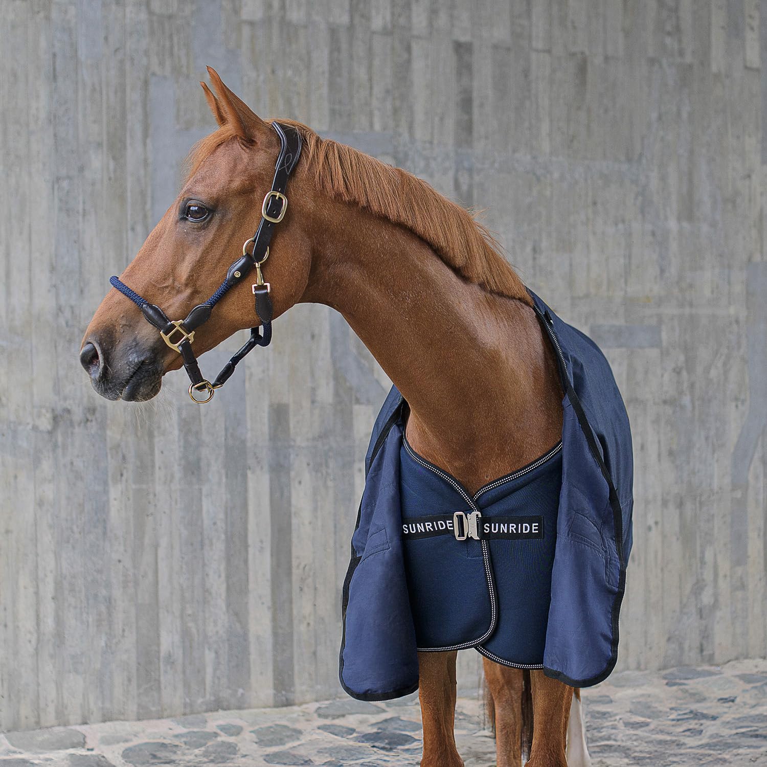 SUNRIDE Stalldecke 50g für Pferde - mit Fleece - geeignet als Unterdecke - extrem atmungsaktiv - abnehmbare Bauchgurte (blau, 145 cm)