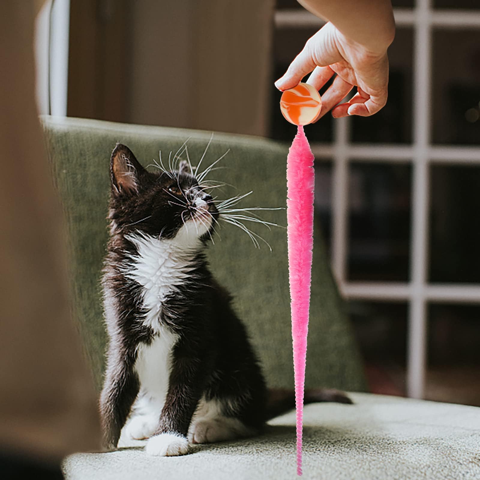Pelota hinchable con cola para gatos, 5 paquetes de gusanos mágicos con juguete de bola grande y colorida para gatos, bolas rebotantes de gusano peludo, juguete para gatos