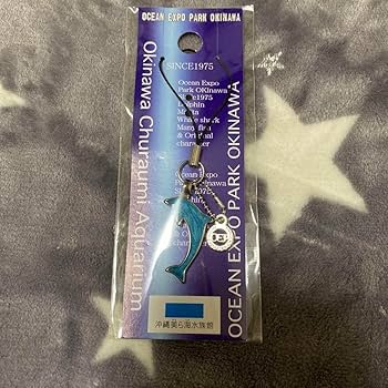 水族館 キーホルダー イルカ 大崩海岸 焼津 イルカ ストラップ 水族館 キーホルダー 大崩海岸 レトロ - メルカリ