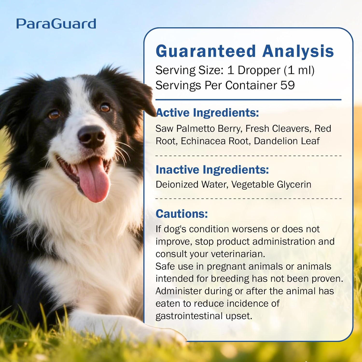 Herbal Drops for Dogs Prostate and Bladder Health, with Saw Palmetto, Relieves Enlarged Prostate, Promotes Immune System, Supports Urinary & Bladder Health for Male Dogs, Natural Herbal Supplement