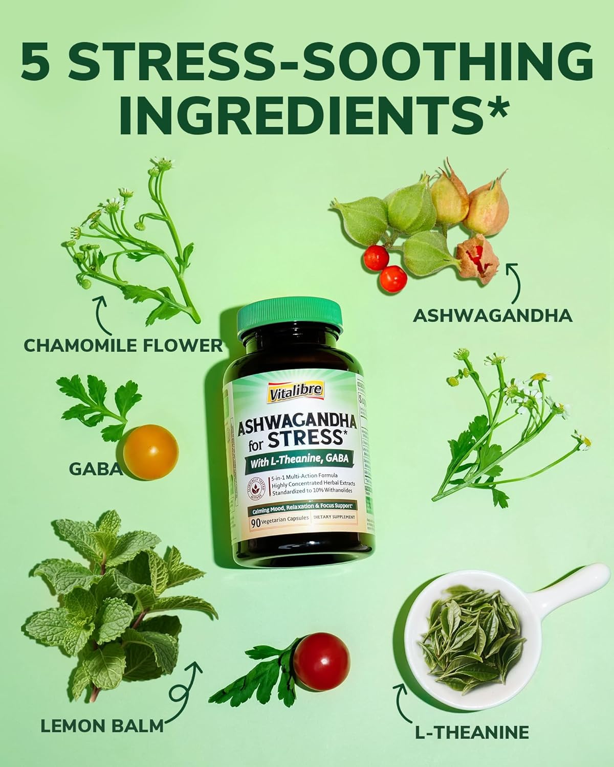 Ashwagandha Supplement for Women Men, 20:1 Ashwagandha Extract Plus L-Theanine, GABA, Lemon Balm & More, Extra Strength, High Absorption, Calming Mood & Focus, 90 Vegan Capsules, Non-GMO - Image 3