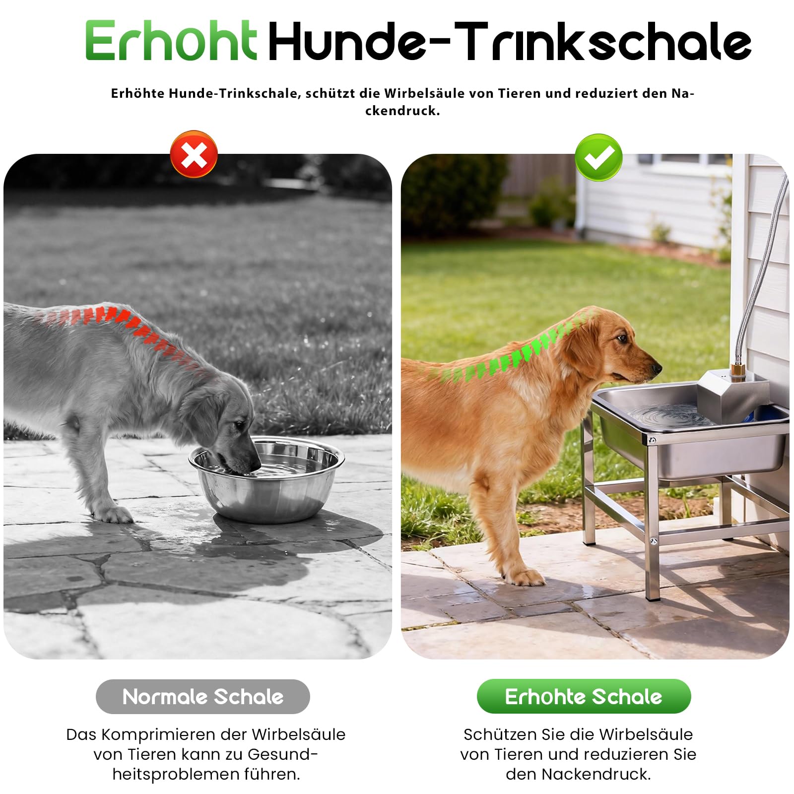 11L Trinkbrunnen für Hunde,Hundenapf Erhöht mit stabilem Metallständer,Edelstahl-Tiertränke mit Schwimmerventil,Edelstahl Hundebrunnen Automatische Wasserauffüllung für drinnen und drauße